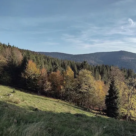 Bel'm La Bresse