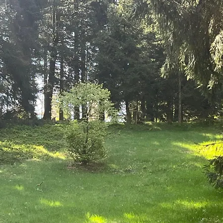 Bel'm * La Bresse