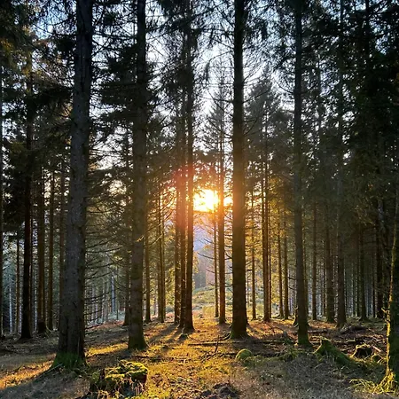 Lägenhet Bel'm La Bresse