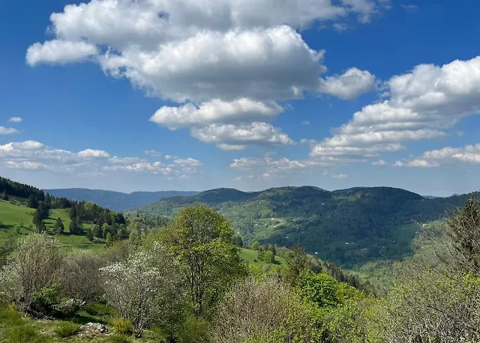 Bel'm Appartement La Bresse