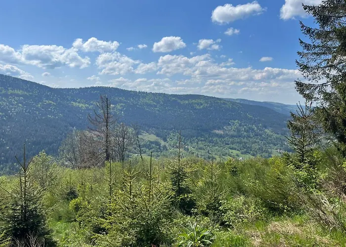 Bel'm Appartement La Bresse