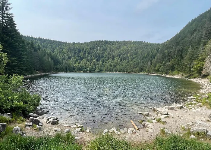 Bel'm Appartement La Bresse